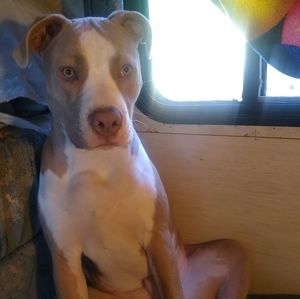 Meet your Posher, Jeanna